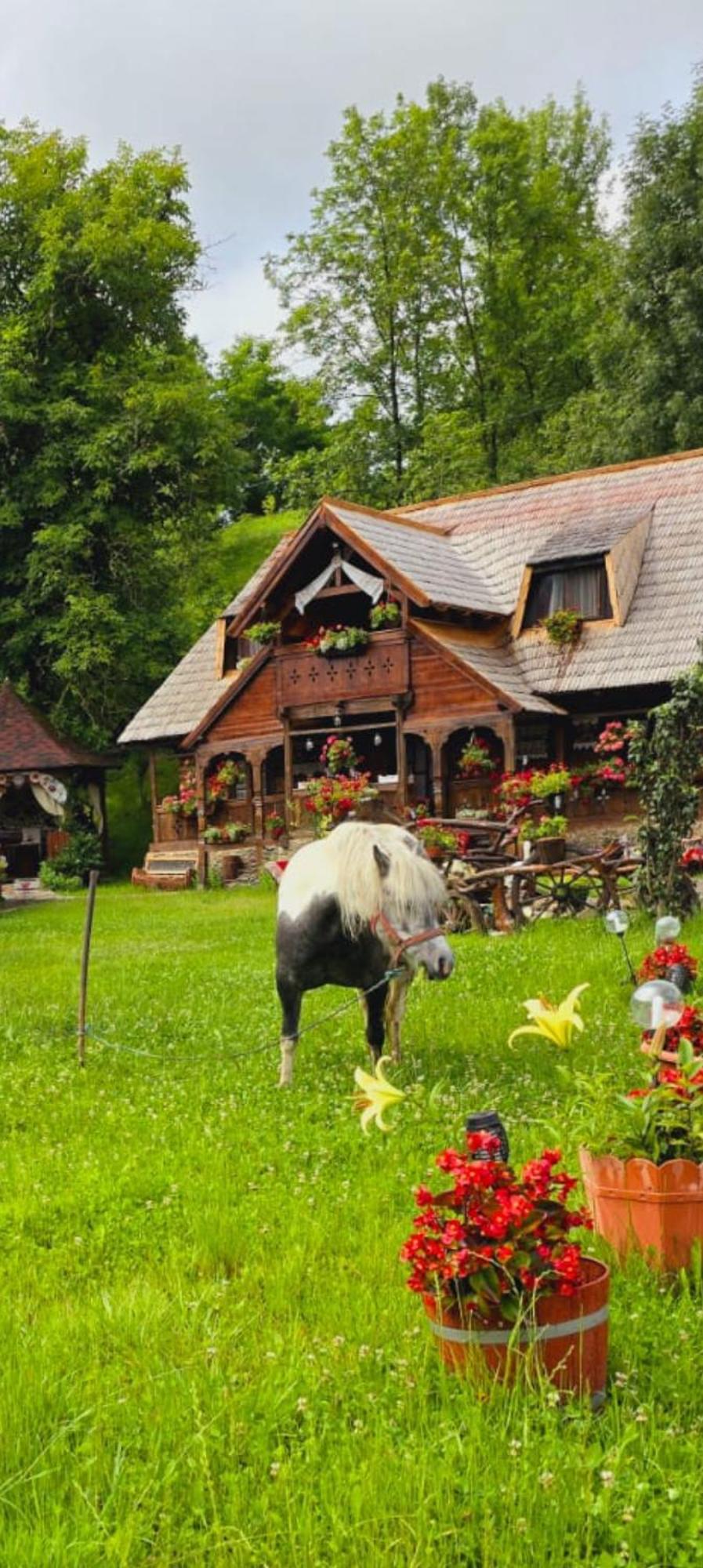 Pensiunea Rustic Oncesti Экстерьер фото
