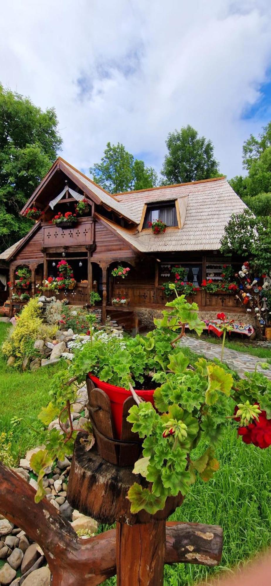 Pensiunea Rustic Oncesti Экстерьер фото